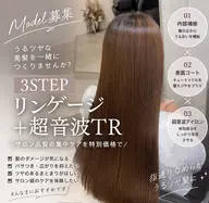 3STEPリンゲージ超音波tr
