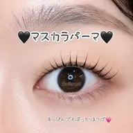 💗【7月限定!】【マスカラパーマ】💗【すぐ予約のみ】💗ミニモ5回来店OK