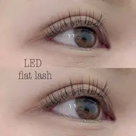 🌿 LED フラットラッシュ80本