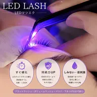 ✨LEDフラットラッシュ120本✨持続力UP・すぐ濡らせる◎