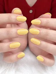 ワンカラー