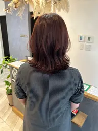 ワンカラー(ミディアム 胸上までの長さ)
