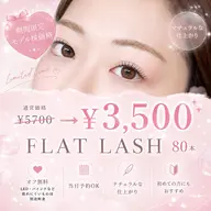 ️🩵期間限定モデル様価格️🩵フラットラッシュ80本(オフ無料)