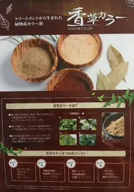 カット+香草カラー(ノーダメージ植物系カラー)