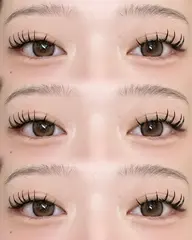 バインドロックモデル80束(変動あり)✨