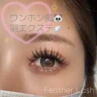 🆕【ワンホン風🐼羽エクステ10束まで🪽】LEDフラットラッシュ100本（120本+¥550/140本+¥1100）