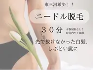 ニードル脱毛【30分】