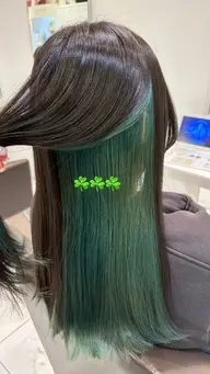 【☘️ふとした瞬間にときめく☘️】インナーカラー