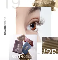 LED⭐︎ROYSHCOLOR(何色でも可)フラットマットラッシュ★200本まで¥6900