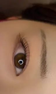 オーダーメイドラッシュリフト🌷👀🦕