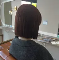ボブカット