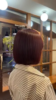 bob cut + one color*･🪷