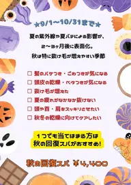🎃〜10/31限定🎃 夏ダメージ&抜け毛対策★秋の回復スパ30分(ブロー込)💫