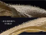 フルフェイスワックス