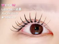 口コミ割✨本気の持ち最強✨☘️LED☘️ダブルフラットラッシュ 80束 (10月5日9時〜、7日限定)