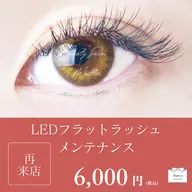 《リピーター様限定》LEDフラットラッシュメンテナンスコース✨✨4週間以内の再来店限定💗
