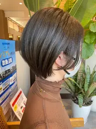 平日限定カットモデル