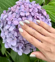 上品ハンドネイル💅ワンカラー