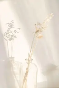 【 当店オフのみコース¨̮* 】