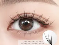 【ワンホンデザイン】羽エクステ14本×フラットマットラッシュ60本🪶