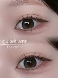 🉐本日ミニモ限定🉐🦢🩰上下まつ毛パーマ🩰🦢¥6,500→¥3,000