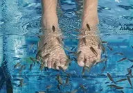 【Fish】足角質を食べるフィッシュ体験