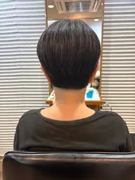 カットモデル