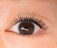 デザインキープラッシュ100束(200本)➕コーティング剤1本