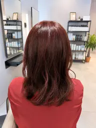 ヘアカラー 1メイクカラー(ブリーチ無し)
