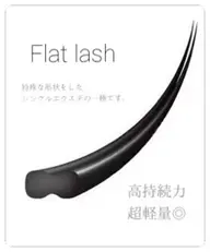 フラットラッシュ100本(オフ込)