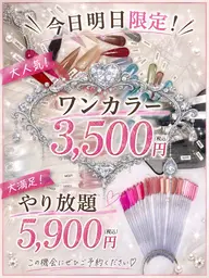 今週平日限定!ワンカラー3500円