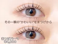 まつ毛パーマ(上のみ)