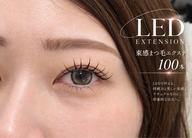 🉐10/23.31早割先着1名様限定♡ 【ナチュラル派に人気】LEDフラットラッシュ100本