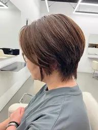 カットモデル