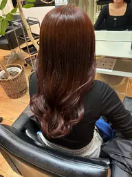 ✨期間限定✨カラーモデル