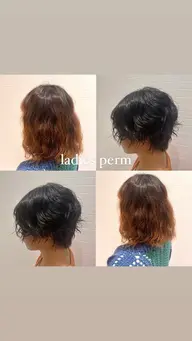 ✂︎レディースカット＋パーマ👩🏻💫【ロング・ショート】