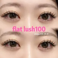【9月限定‼️】フラットラッシュ100本🎀       ［神楽坂/飯田橋/マツエク］