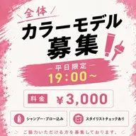 全体カラー✨モデル ¥3,000
