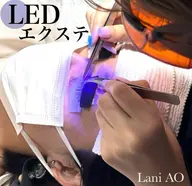 🉐期間限定⭐️【WフラットLED40束(80本)】⭐️