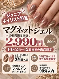 ★★要注意:書いてある日時限定★★マグネットネイル限定！