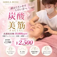 【高濃度炭酸10,000ppm🫧】5種のヒト幹細胞由来成分×美筋フェイシャル+炭酸ヘッド