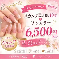 スカルプ10本とワンカラー