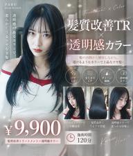 🤍 髪質改善TR+透明感カラー