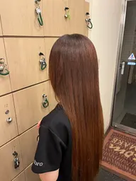 ファンションカラー(ワンカラー)