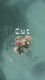🌸韓国風ヘアカット+プレトリートメント🫧