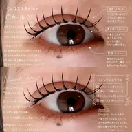 【リピーター様限定🧚‍♀️】リペアメニュー　［60本まで］
