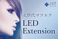 【初回オフ無料】🦋LEDエクステ100本🦋
