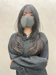 カットモデル
