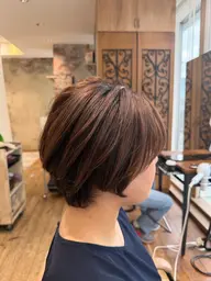 🈳《水&金 限定》9月30日限定 新宿店のみ✨️ショート限定✂️レディースカット✂️➕トリートメント➕ヘッドスパ✨️
