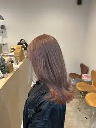 ダブルカラー(medium)🦖